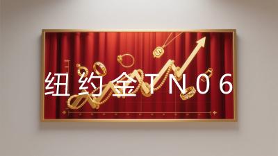 纽约金TN06
