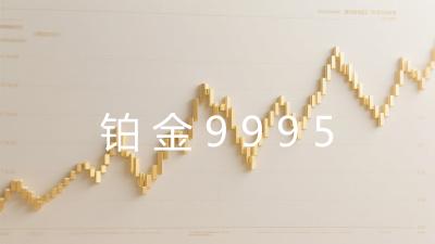 铂金9995