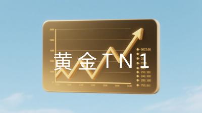 黄金T+N1