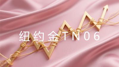 纽约金TN06