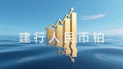 建行人民币铂