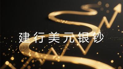 建行美元银(钞)