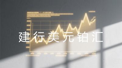 建行美元铂(汇)