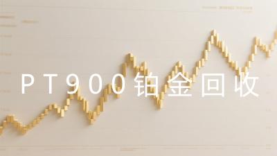 PT900铂金回收