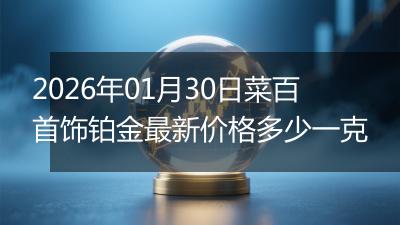 2026年01月30日菜百首饰铂金最新价格多少一克