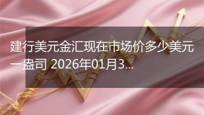 建行美元金汇现在市场价多少美元一盎司 2026年01月30日