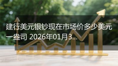 建行美元银钞现在市场价多少美元一盎司 2026年01月30日