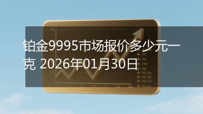 铂金9995市场报价多少元一克 2026年01月30日