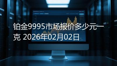 铂金9995市场报价多少元一克 2026年02月02日