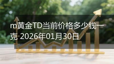m黄金TD当前价格多少钱一克 2026年01月30日