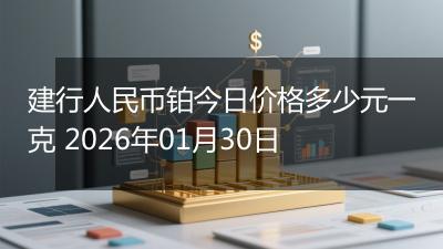 建行人民币铂今日价格多少元一克 2026年01月30日