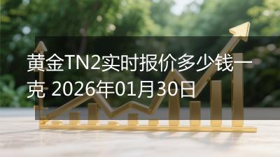黄金TN2实时报价多少钱一克 2026年01月30日
